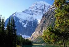 关于中国女足球员斩获激动人心的胜利，赛场上充满激情的信息